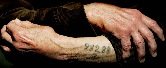 Prisoner Tattoo of a Holocaust Survivor