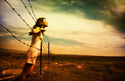 barbed-wire-freedom