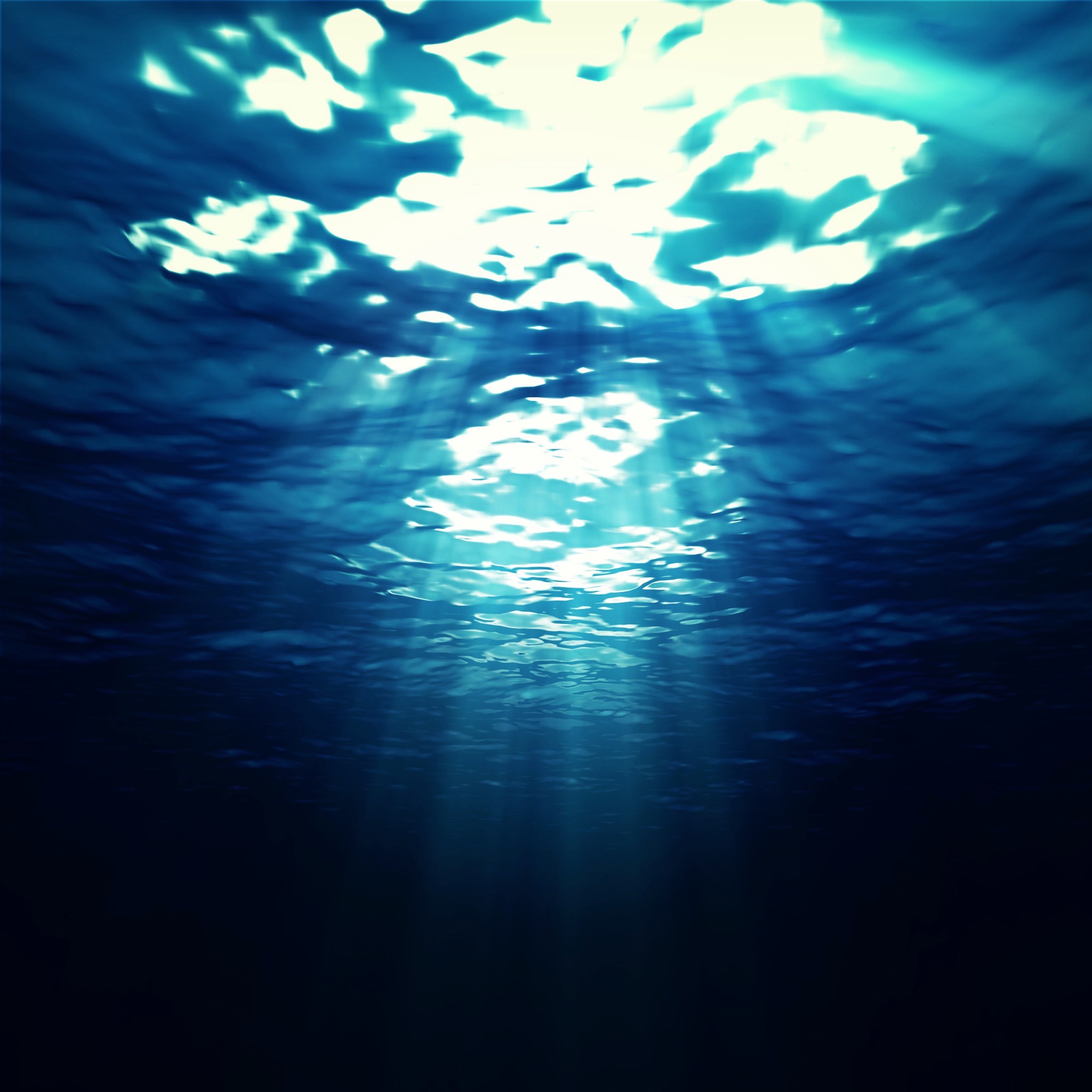 Into the Deep | The Now Word