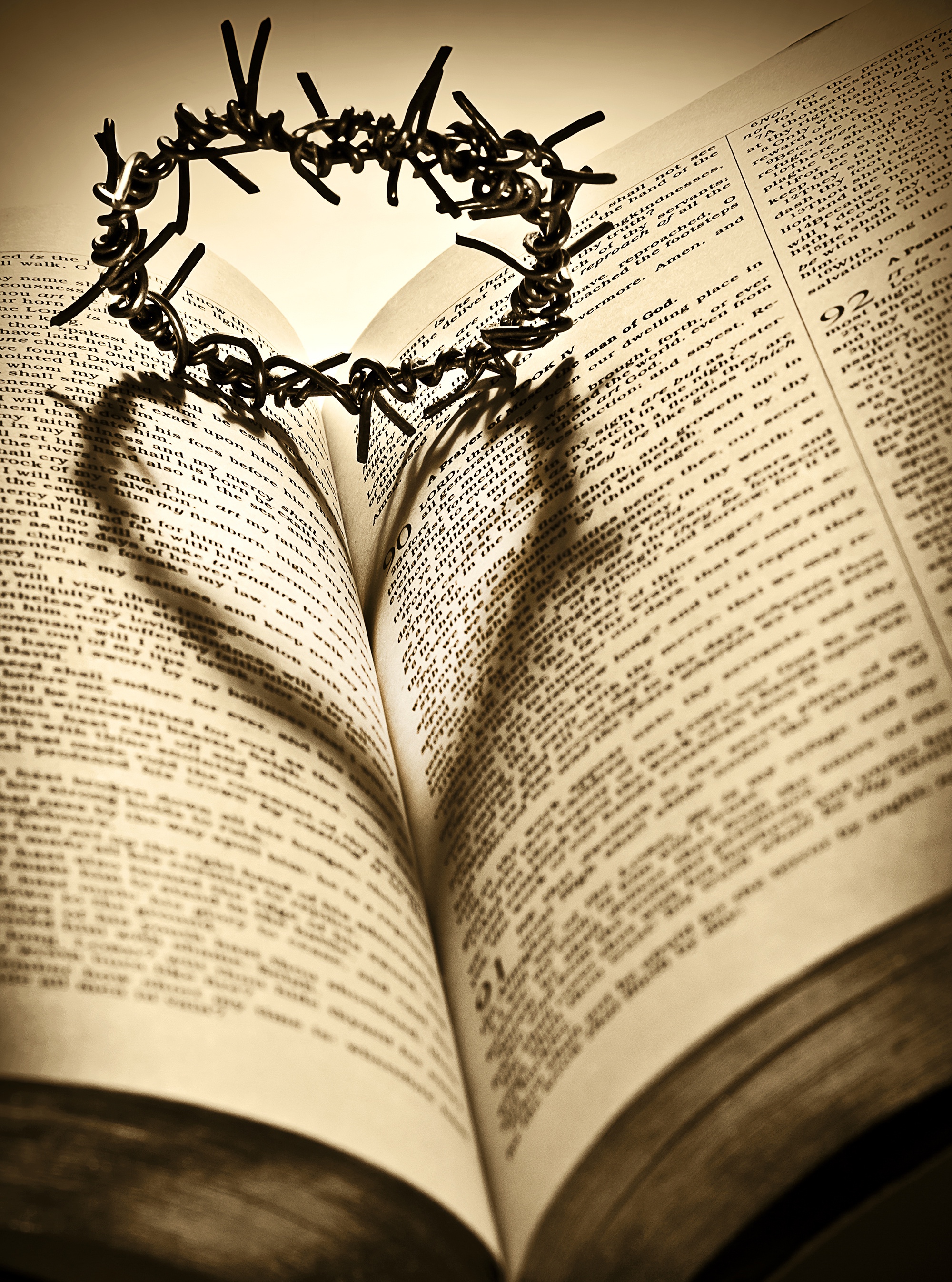 Crown of Thorns and the Holy Bible