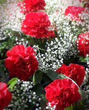 carnations